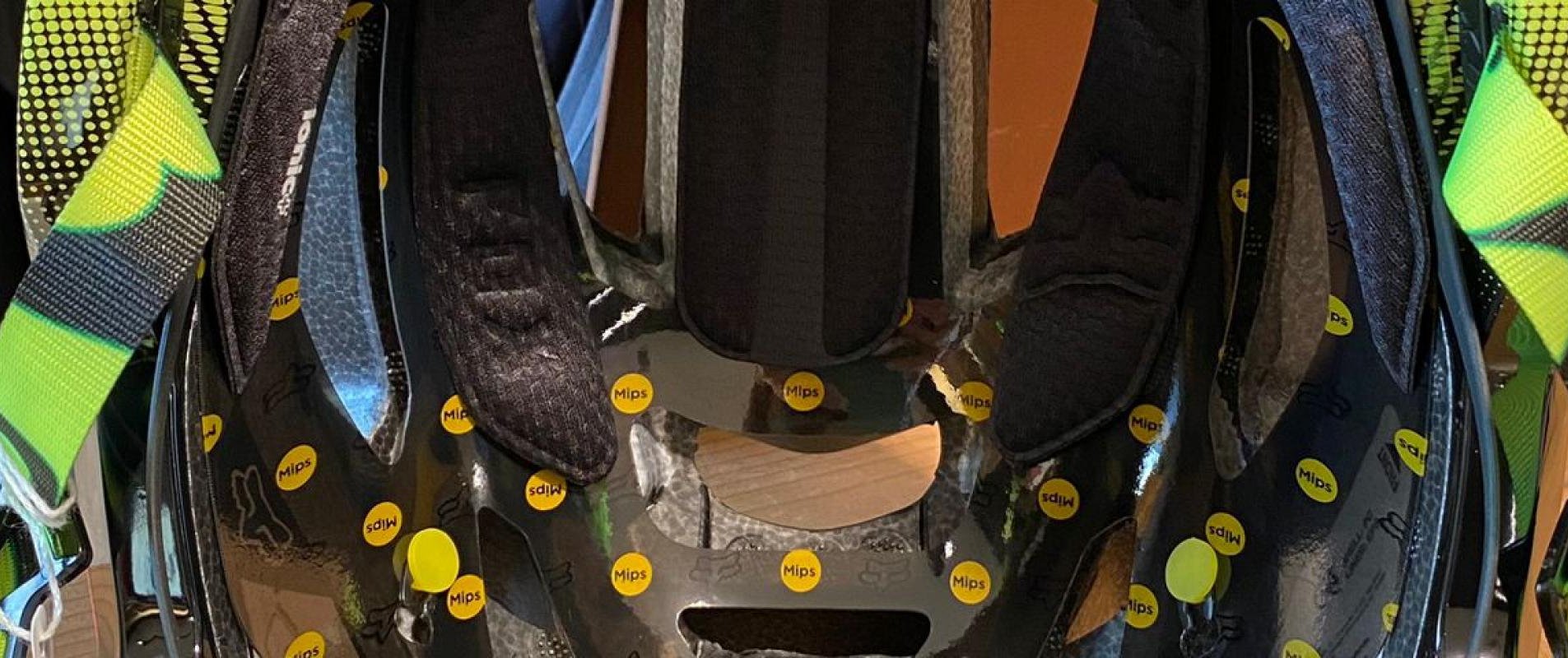 La tecnologia MIPS: Immagine